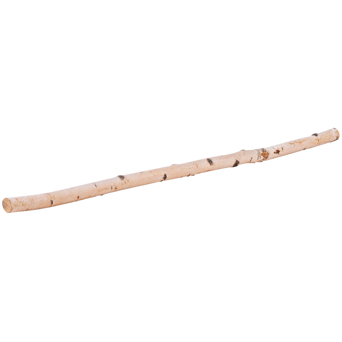 Birkenstamm 90 cm Durchmesser 2-4 cm | 2-4 cm | 90 | 240851