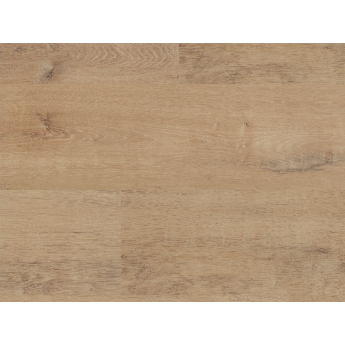 Specht Vinylboden Ambiente Honig Eiche 1210 x 190 x 5 mm | 248474
