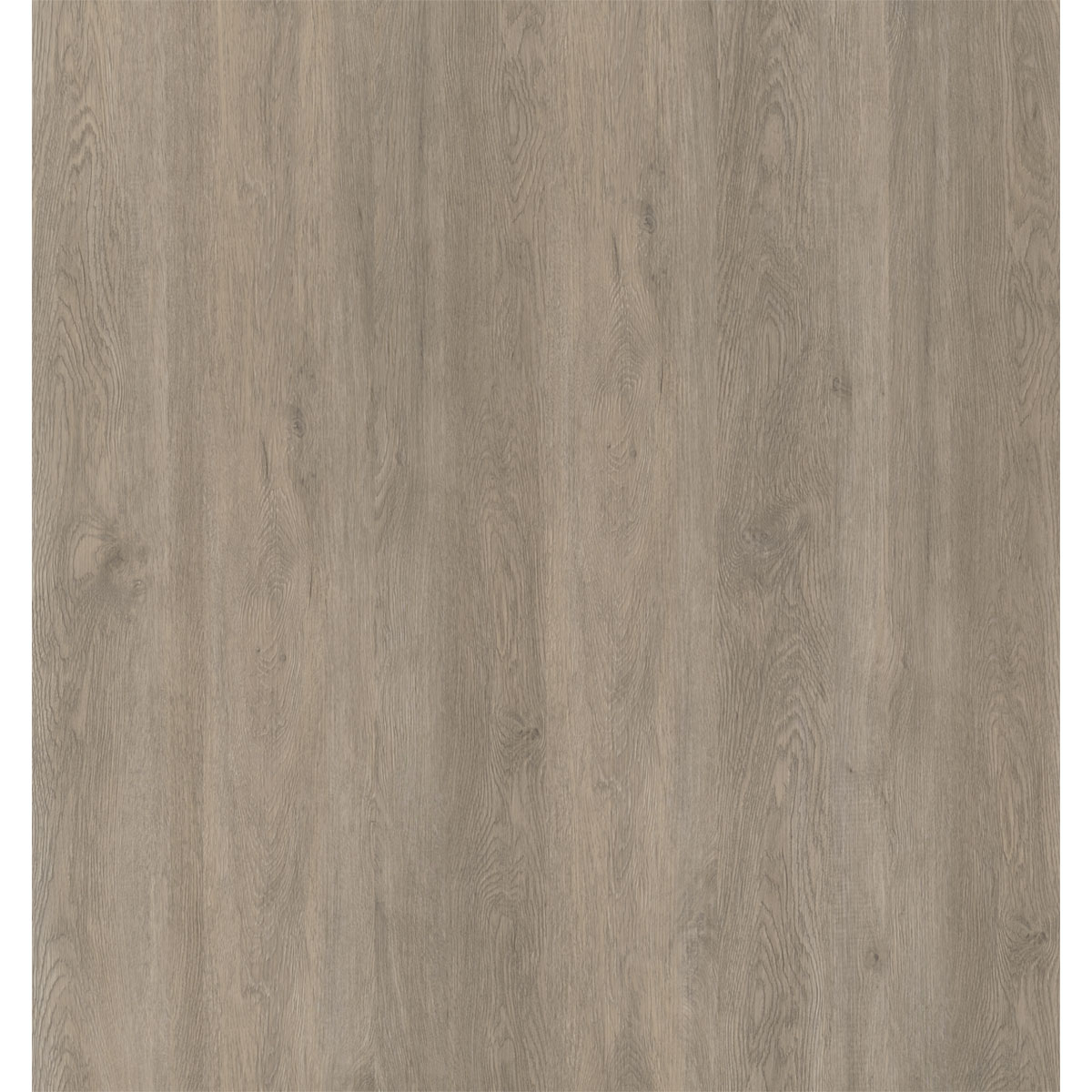 Specht Vinylboden Ambiente Antarctica 1210 x 190 x 5 mm | 248481