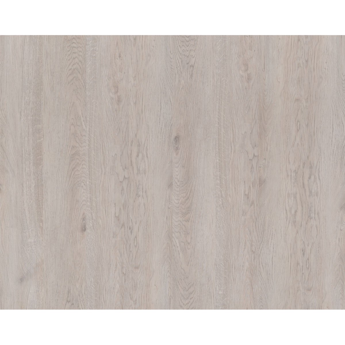 Specht Vinylboden Ambiente Polareiche 1210 x 190 x 5 mm | 248482