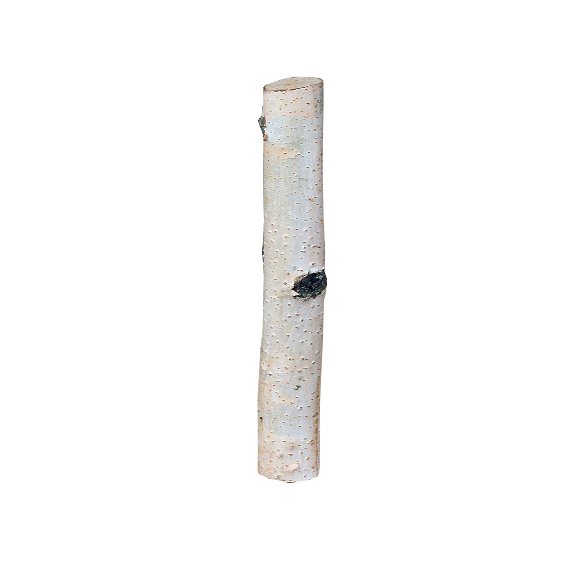 Birkensticks 20 cm Durchmesser 3-4 cm | Ø 3-4 cm | 20 | 251570