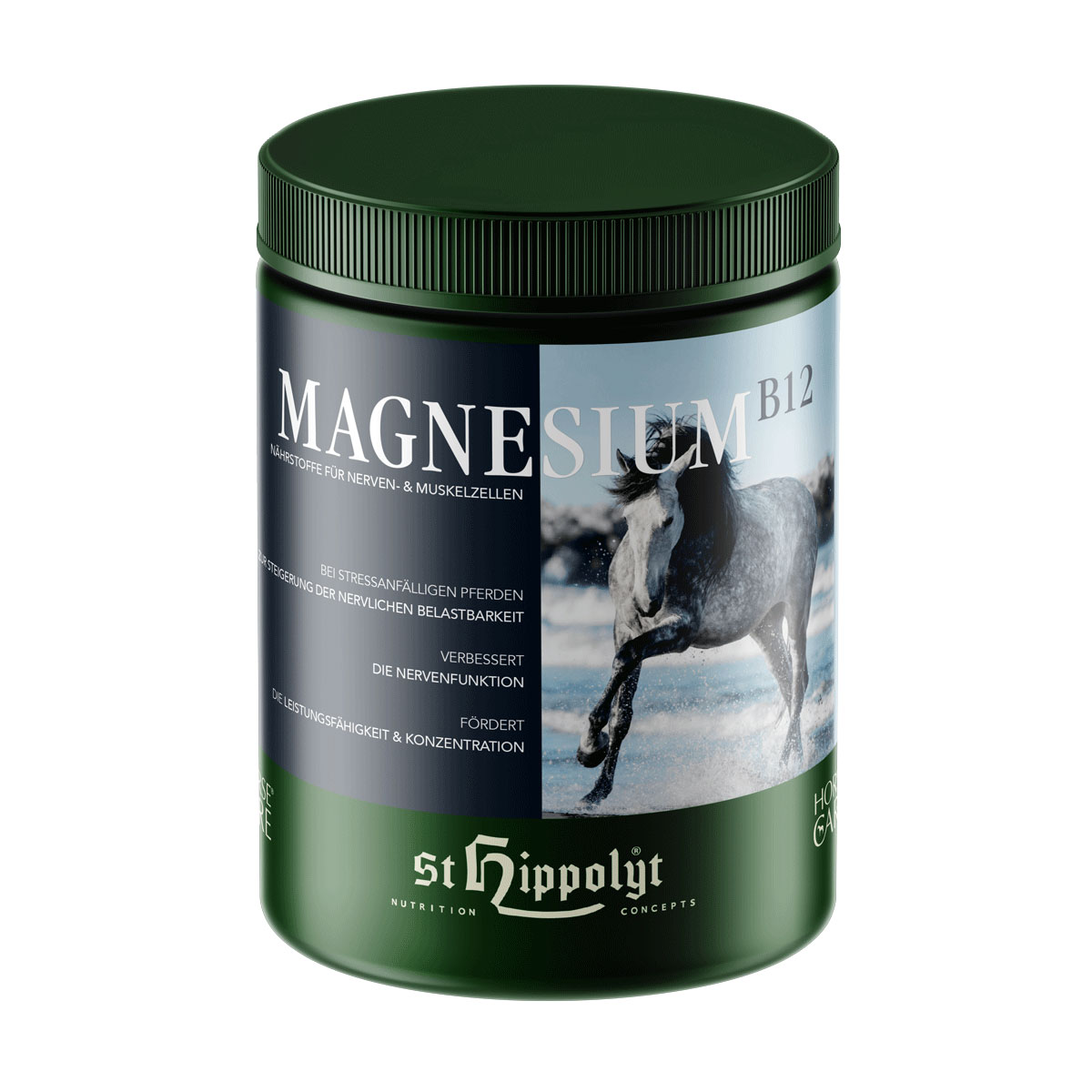 St. Hippolyt Zusatzfutter Magnesium B12 1 kg | 267766