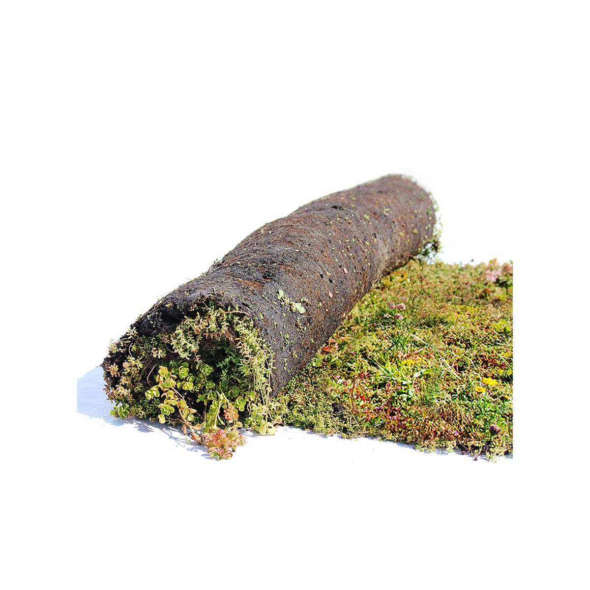 AboutGreen Gründachsystem Aromadach bis 10 Dachneigung 1 m² | 352822