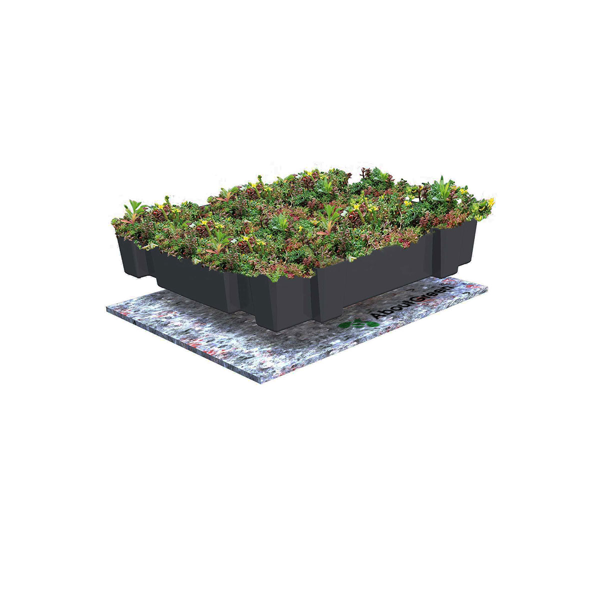 AboutGreen Gründachsystem Click und Go bis 15 Dachneigung 45 x 49,5 cm | 352823 – Bild 3