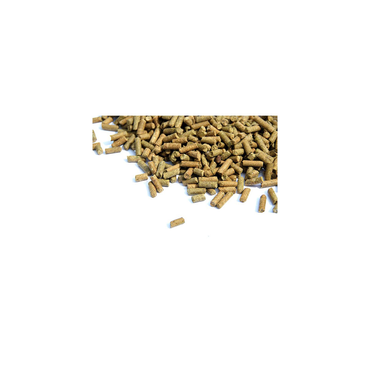 AboutGreen Düngemittel für Sedumdach 5 kg | 352827