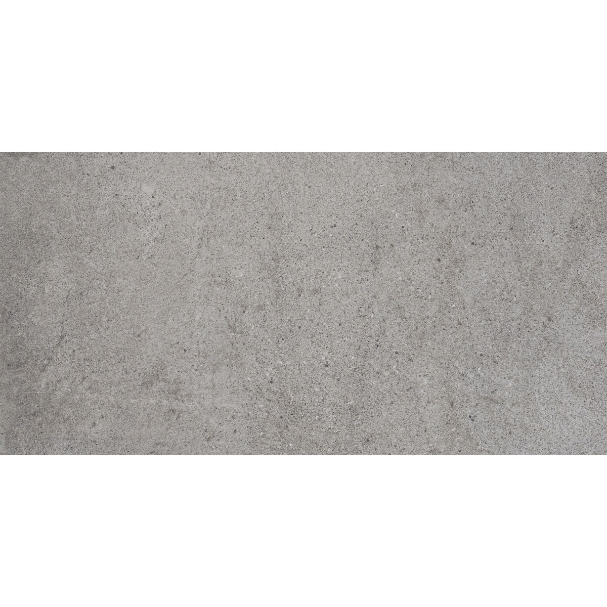 Terrassenplatte Evre Grau 40 x 80 x 2 cm | 503948