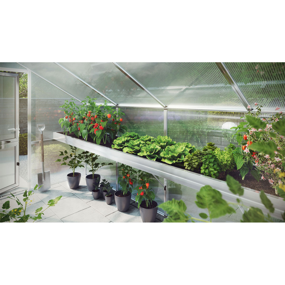 KGT Pflanzwanne für Callas III silber | III | Callas | 806187
