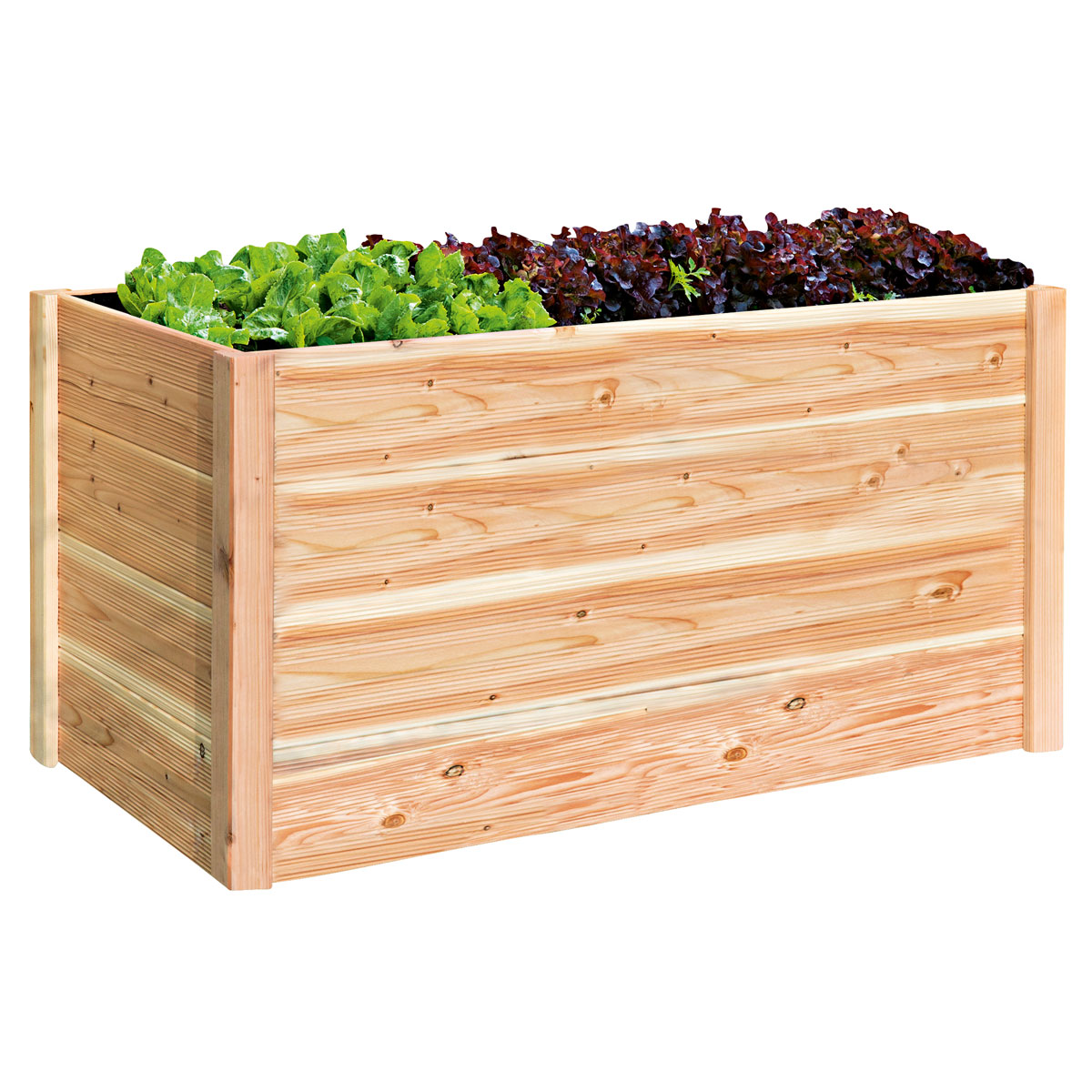 Hochbeet Douglasie unbehandelt 150 x 76 x 80 cm | 150 | 929603